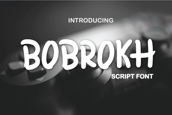 Bobrokh: A Bouncy Display Font for Fresh Branding