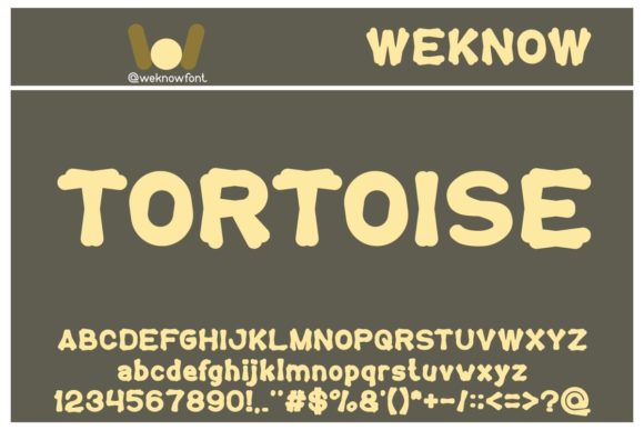 Tortoise Font for Web Design: A Bold and Friendly Display Typeface