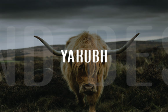 Yakubh: A Modern Display Typeface for Digital Branding